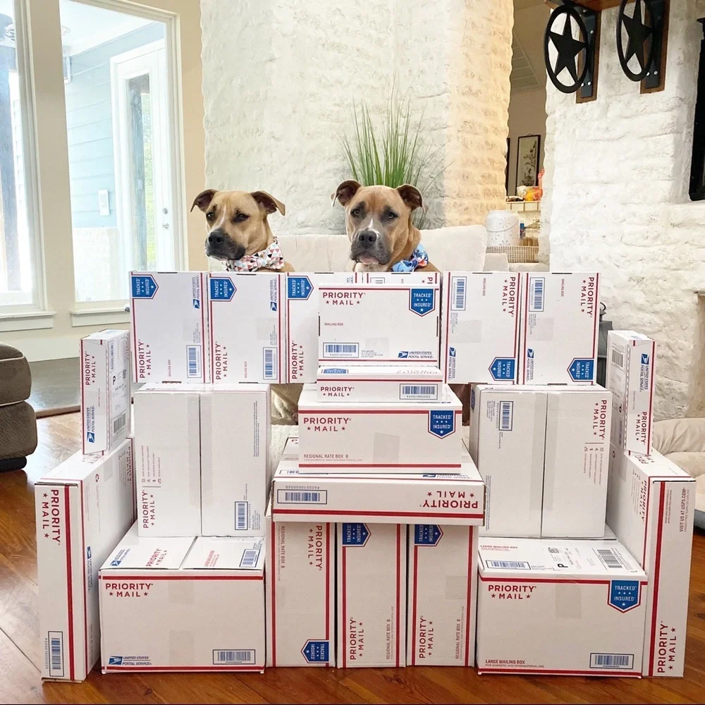 FOLLOW MY CUTE PAWSH ASSISTANTS! 🐶🐶🛍👑🐝 - Picture 15 of 16